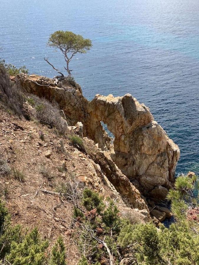 Atelierchic Bed & Breakfast Le Lavandou Dış mekan fotoğraf
